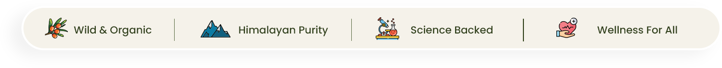 Feature Icons