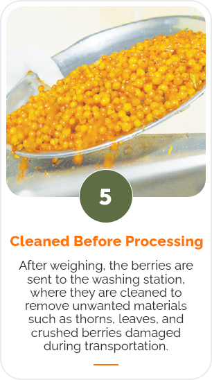 Step 5