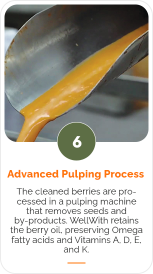Step 6